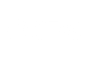 Media feature
