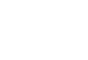 Media feature