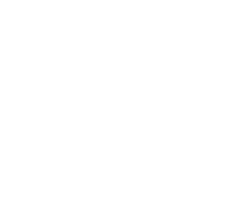 Media feature